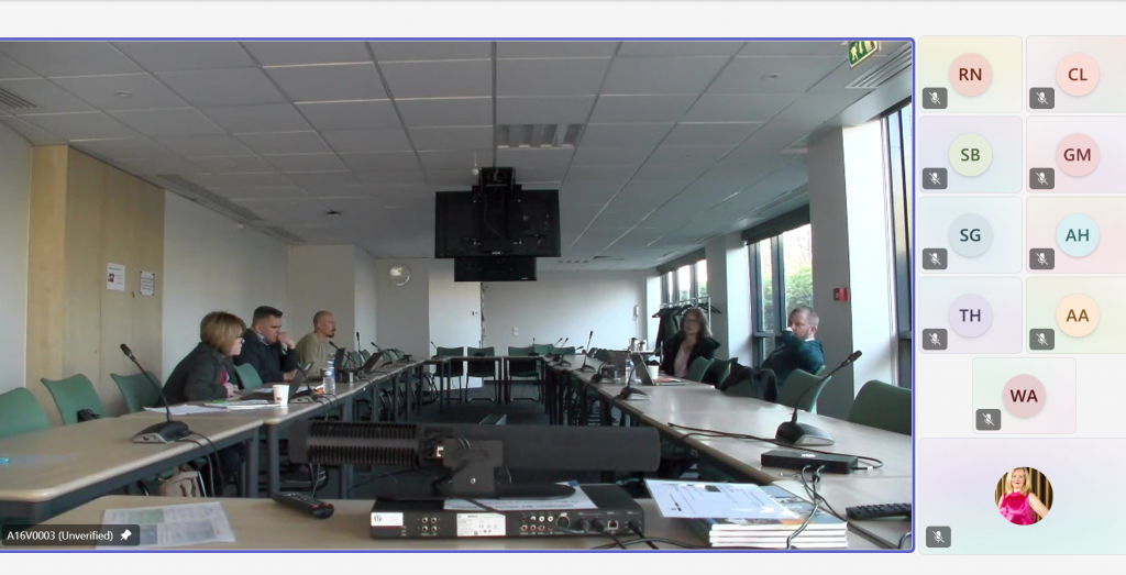 image TANDEM partners organise workshop dedicated to safety aspects of SMR integration within hybrid energy systems