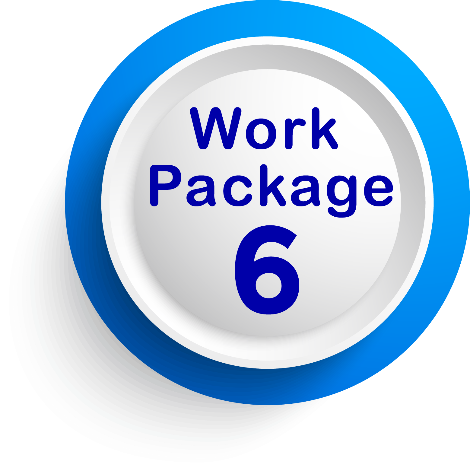 WP6
